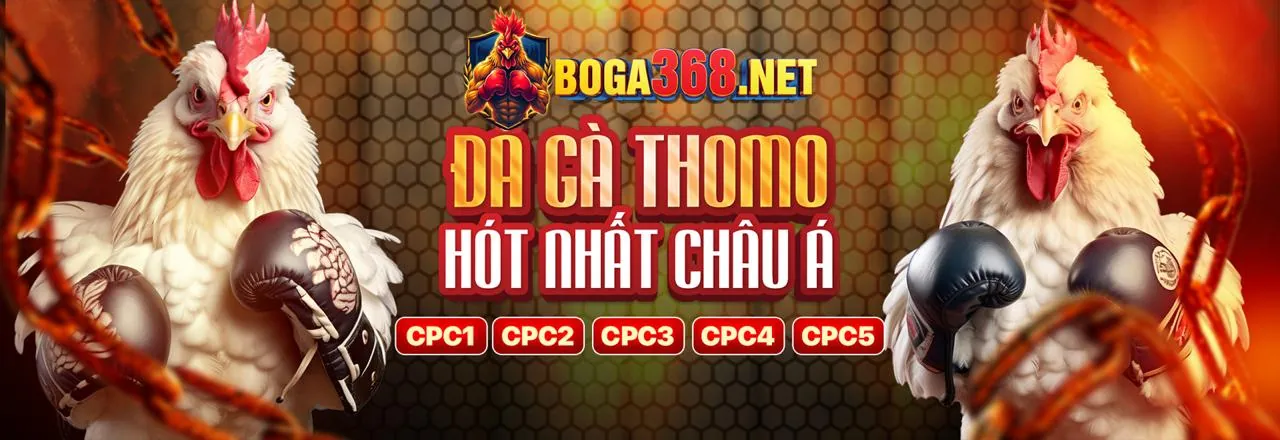 Đá gà trực tuyến sôi động tại sun city88